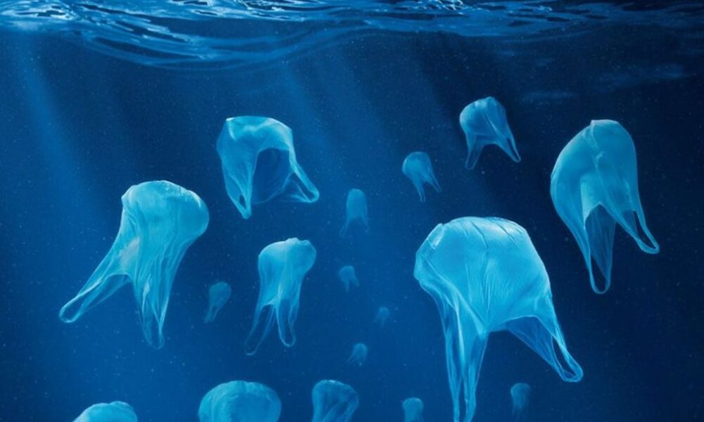 Plastic Bag Jellyfish